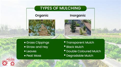 stalking meaning in agriculture|Mulching: Materials, Advantages and Crop Production.